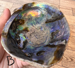 Load image into Gallery viewer, Abalone Shell
