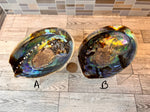 Load image into Gallery viewer, Abalone Shell
