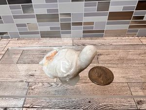 Caribbean Calcite Turtle