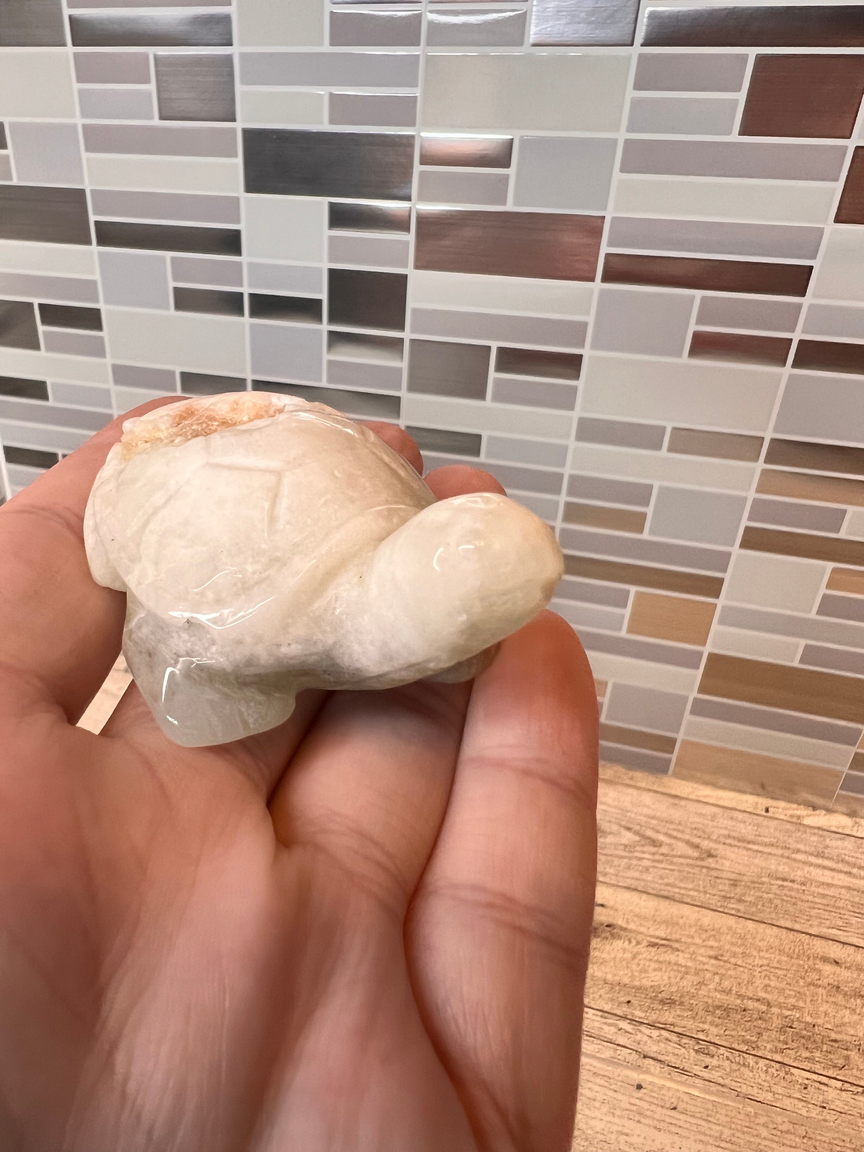 Caribbean Calcite Turtle