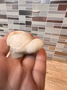 Caribbean Calcite Turtle