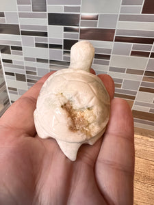 Caribbean Calcite Turtle