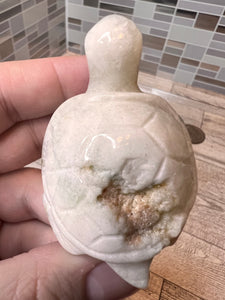 Caribbean Calcite Turtle