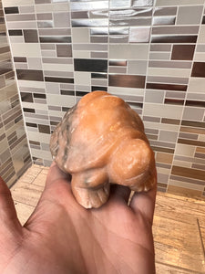 Calcite Turtle