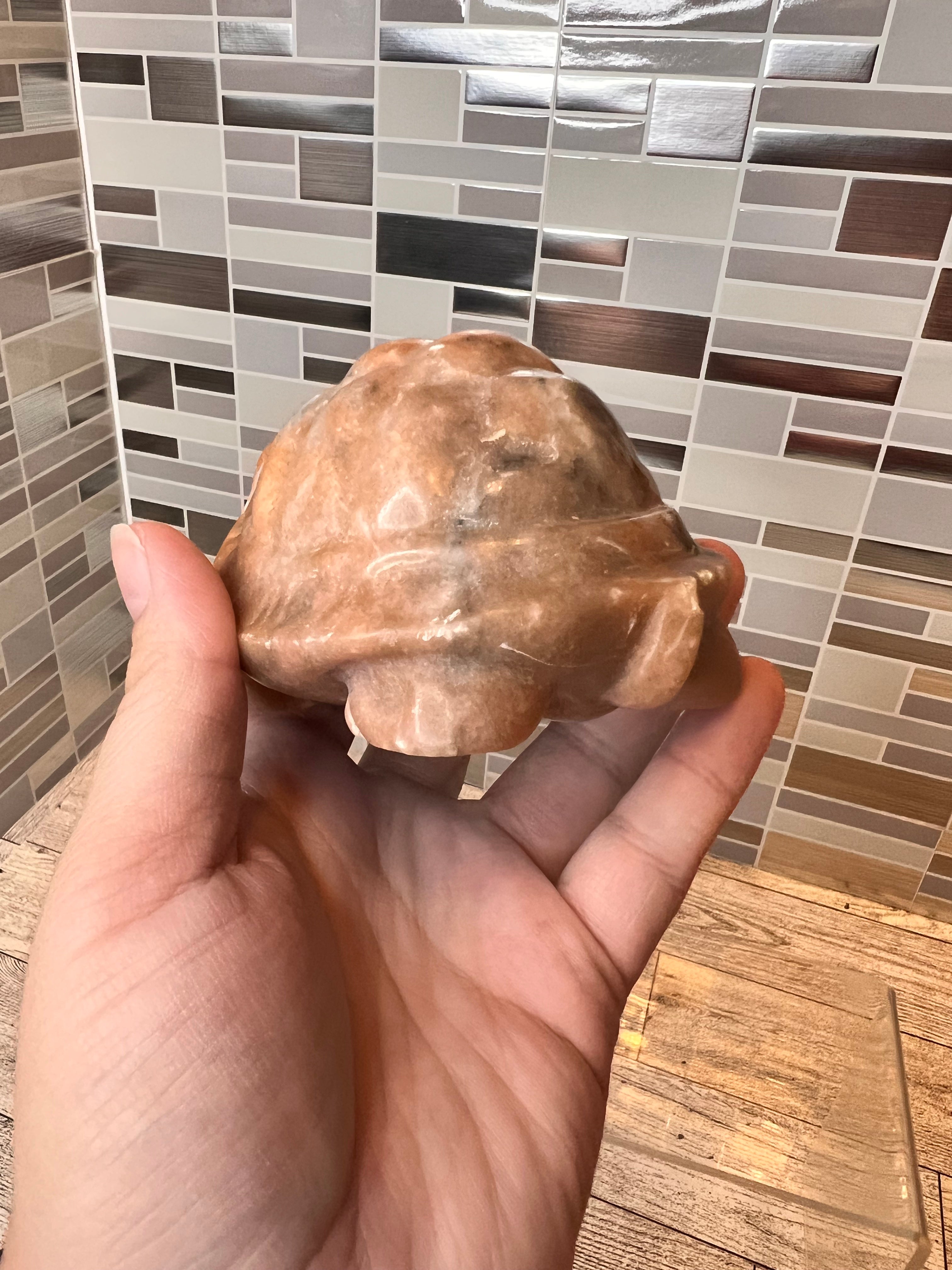 Calcite Turtle