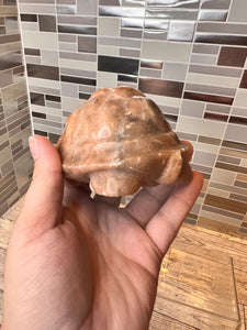 Calcite Turtle