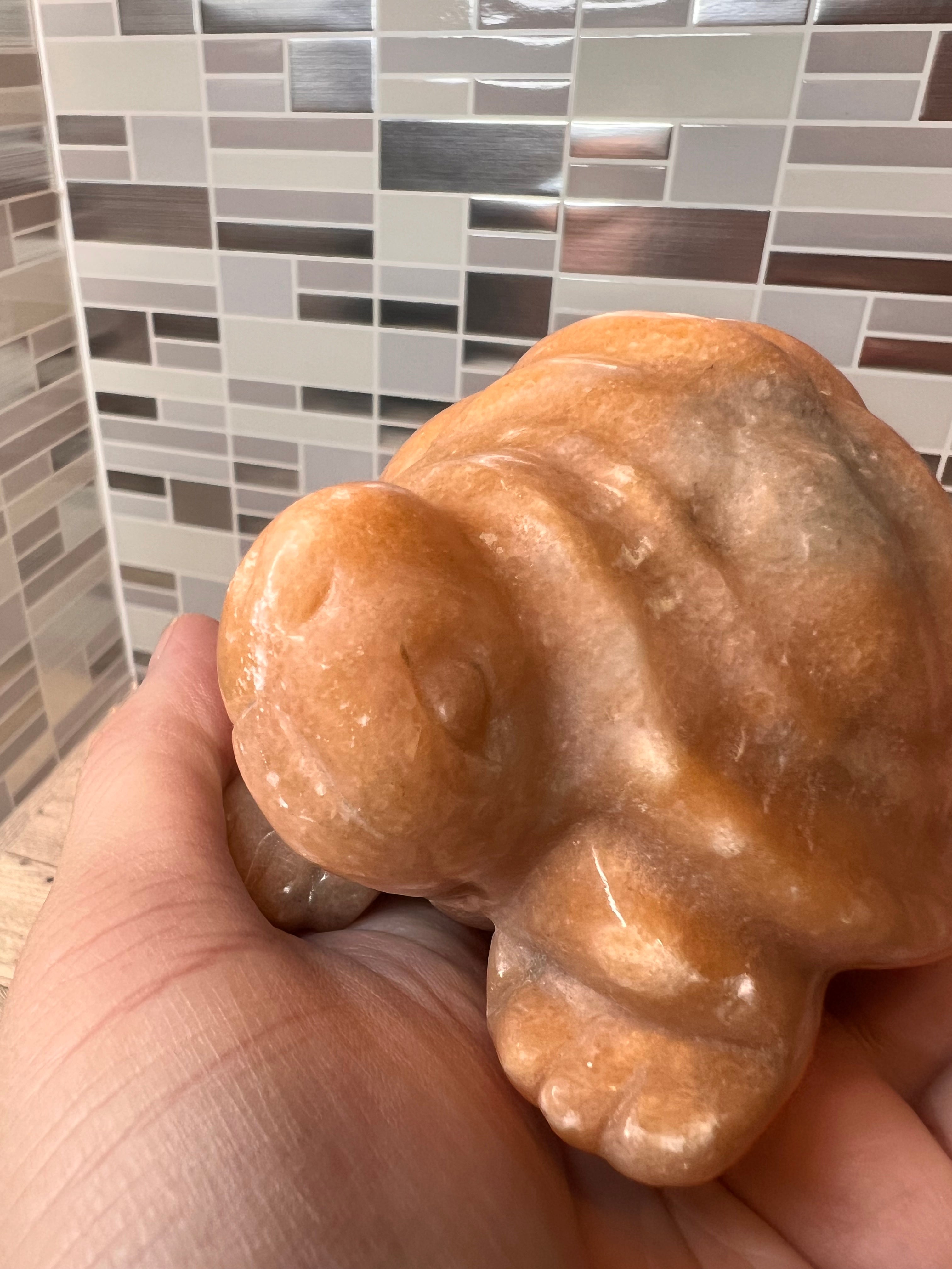 Calcite Turtle