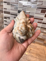 Load image into Gallery viewer, Caribbean Calcite Spider
