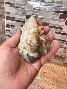 Caribbean Calcite Spider