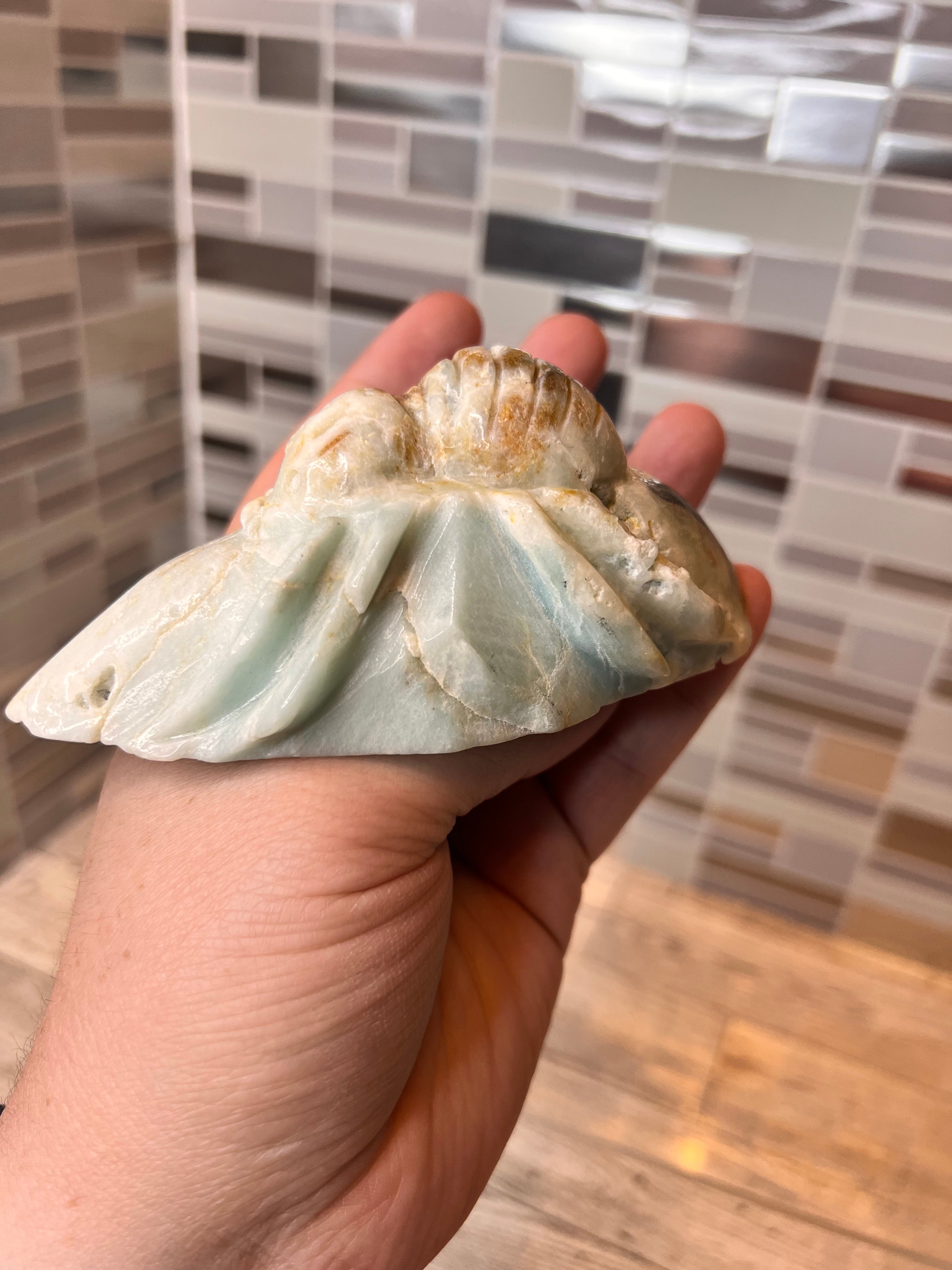 Caribbean Calcite Spider