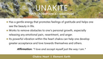 Load image into Gallery viewer, Unakite Turtle
